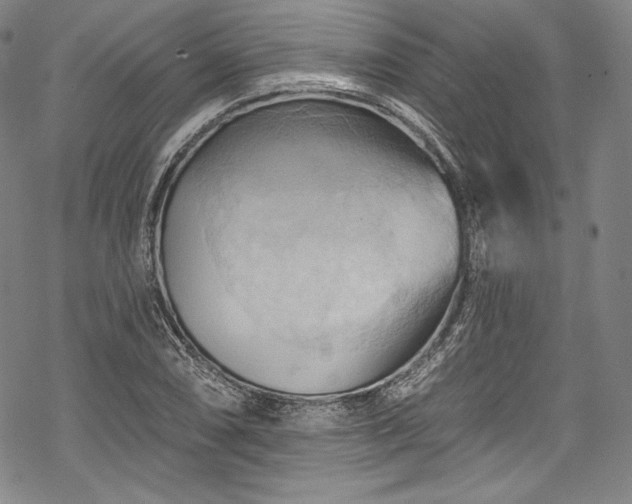 X0000068741074200605051445