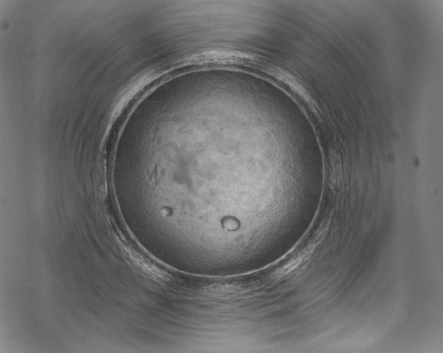 X0000068741075200605051445