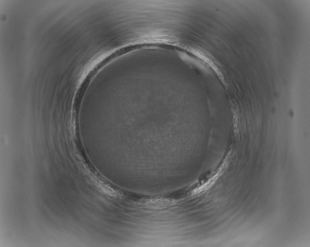 X0000068741077200605051445