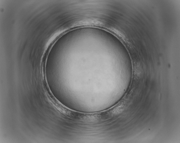 X0000068741078200605051445