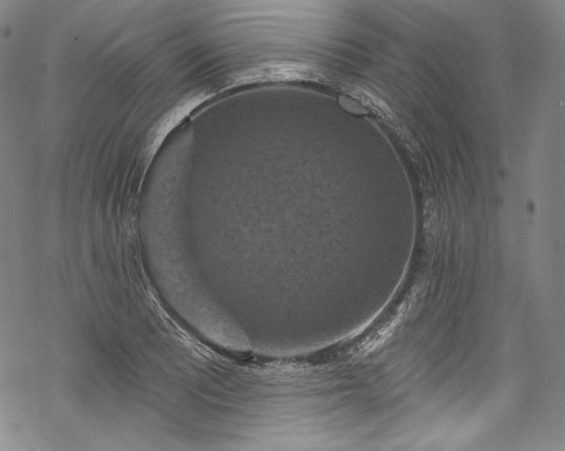 X0000068741081200605051445