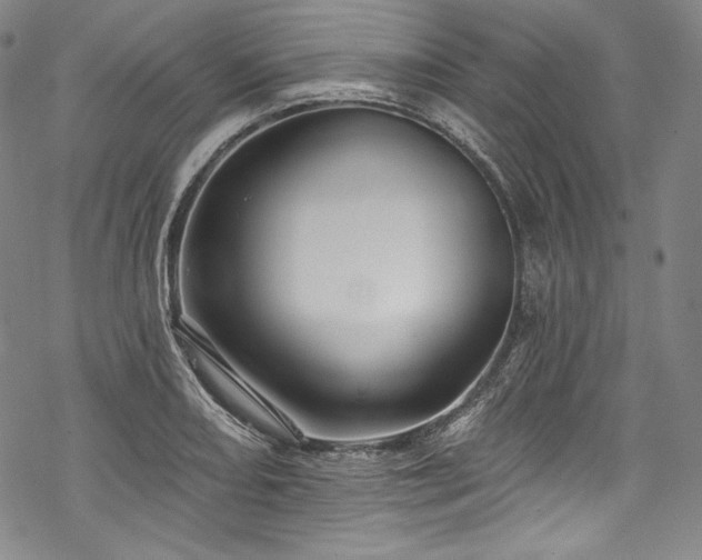 X0000068741082200605051445