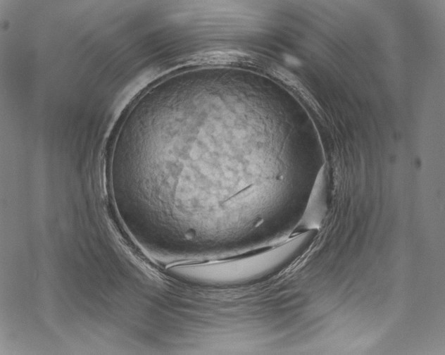 X0000068741083200605051445