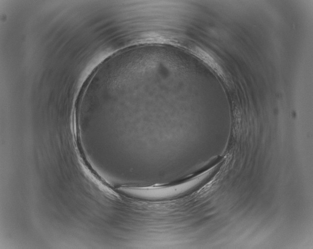 X0000068741084200605051445