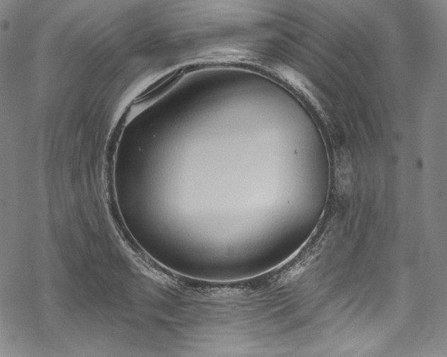 X0000068741085200605051445