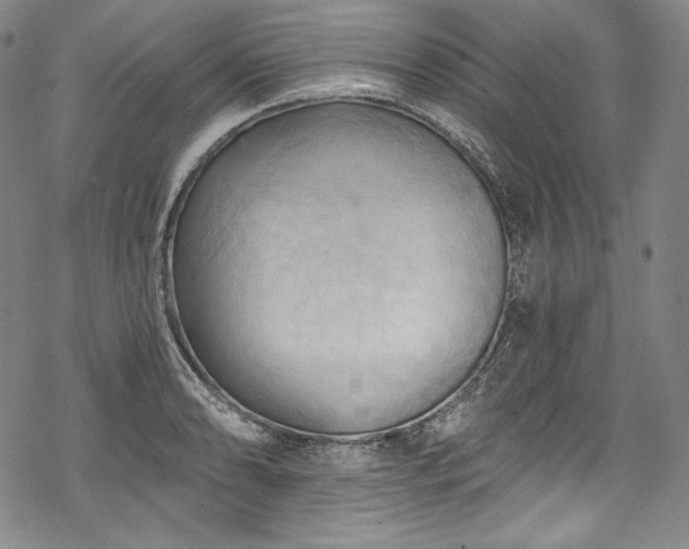 X0000068741086200605051445