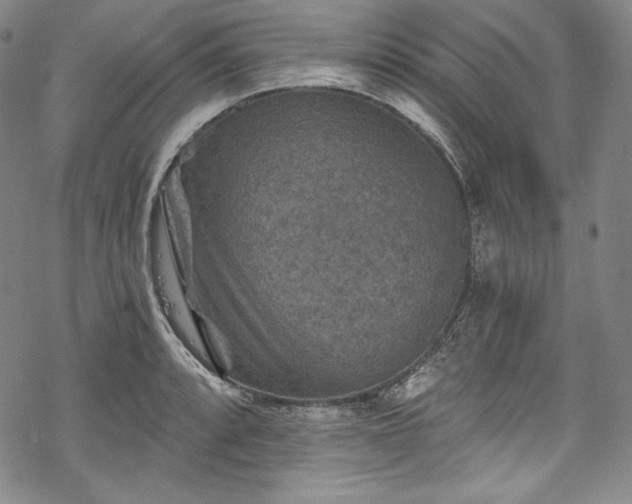 X0000068741088200605051445