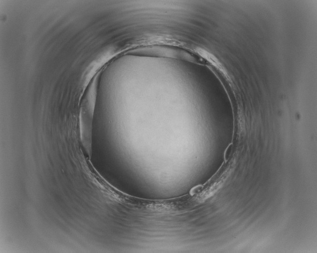 X0000068741089200605051445