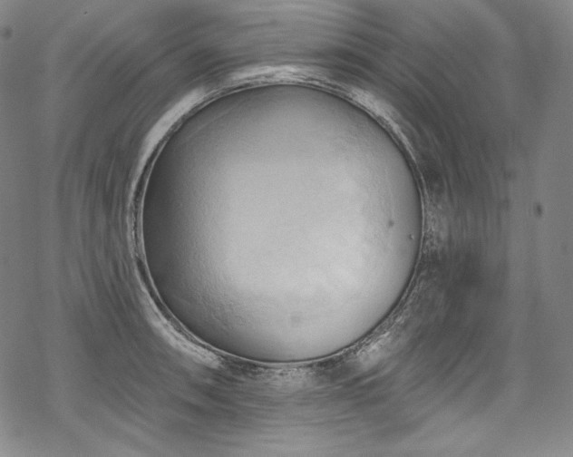 X0000068741090200605051445