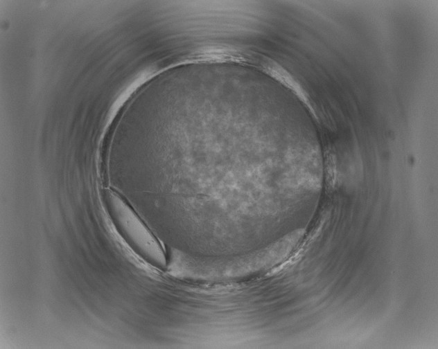 X0000068741091200605051445