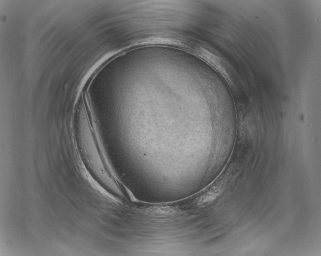 X0000068741092200605051445