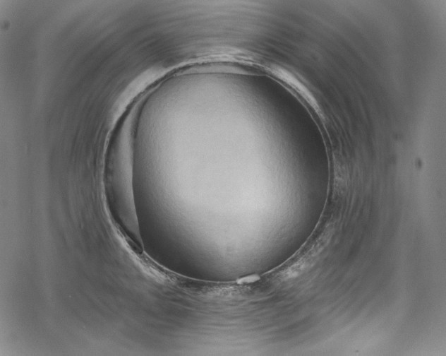 X0000068741093200605051445