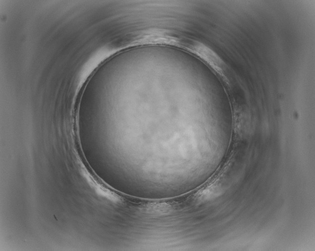 X0000068741094200605051445