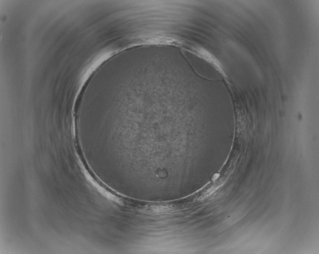 X0000068741095200605051445