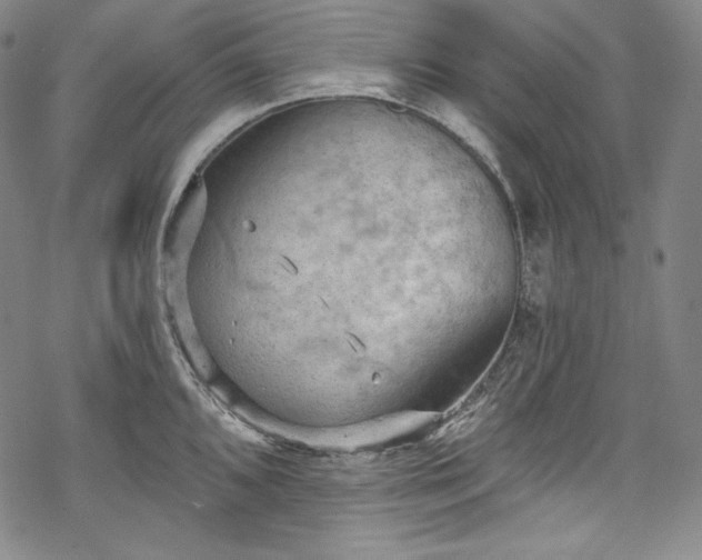 X0000068741096200605051445