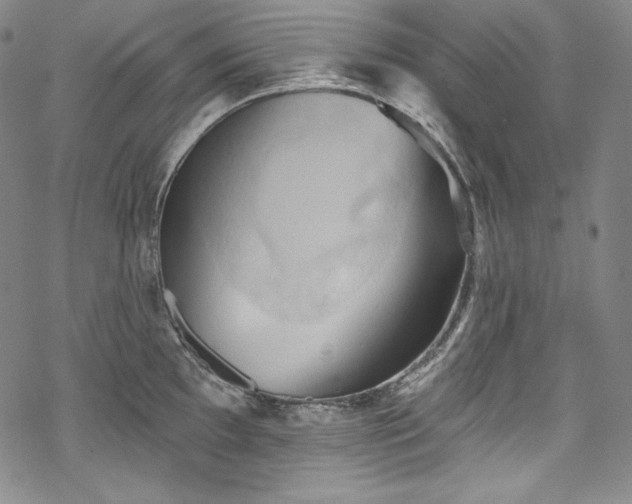 X0000068741097200605051444