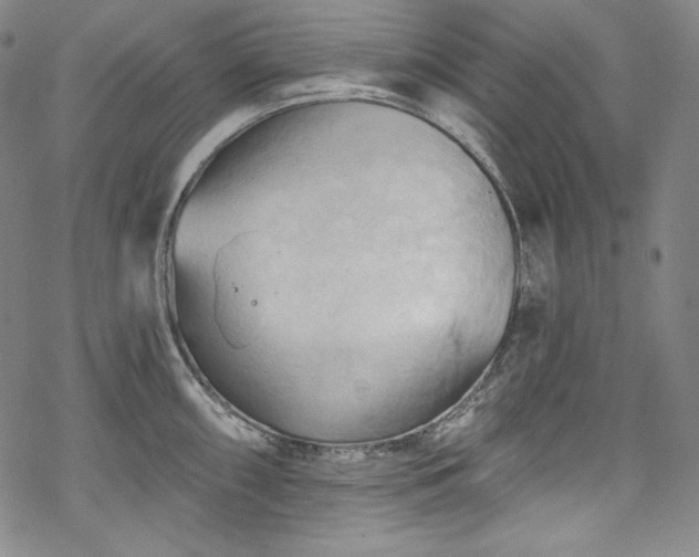 X0000068741098200605051444