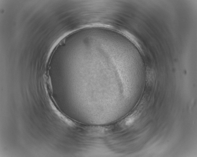 X0000068741100200605051444