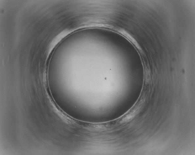 X0000068741101200605051444