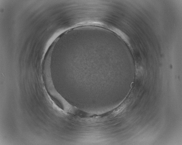 X0000068741102200605051444