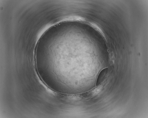 X0000068741103200605051444