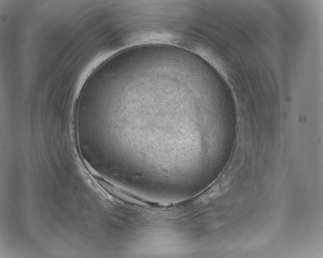 X0000068741104200605051444