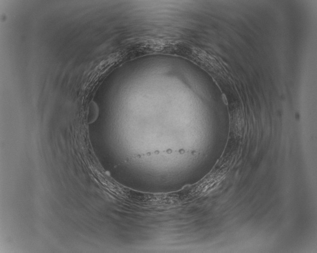 X0000068741105200605051444