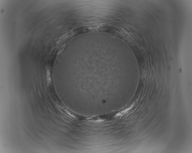 X0000068741106200605051444