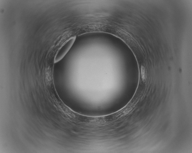 X0000068741107200605051444