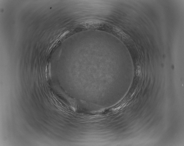 X0000068741108200605051444