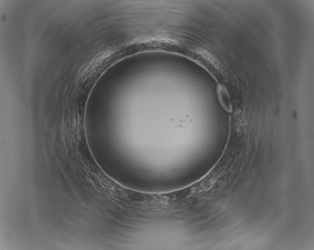 X0000068741111200605051444