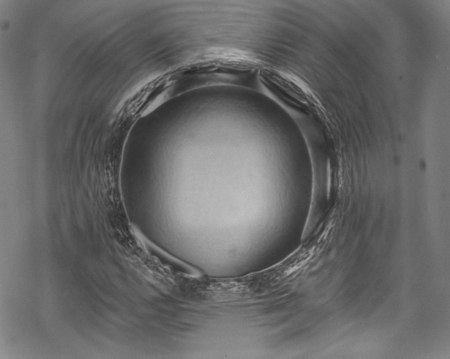 X0000068741112200605051444