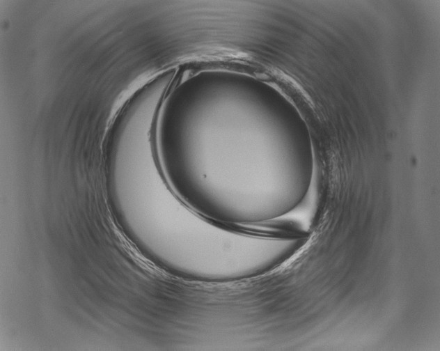 X0000068741114200605051444