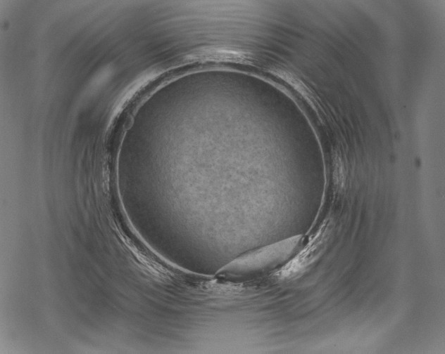 X0000068741115200605051444