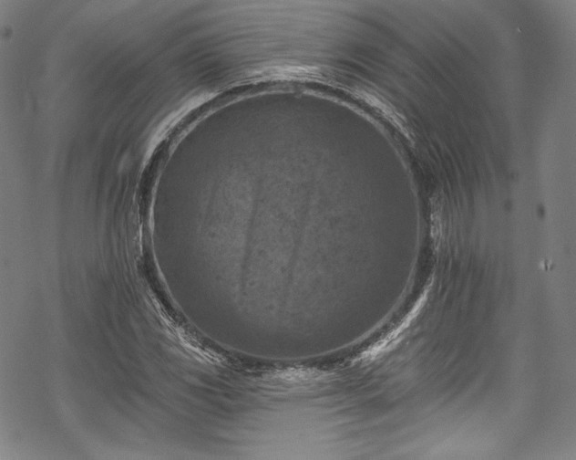 X0000068741117200605051444