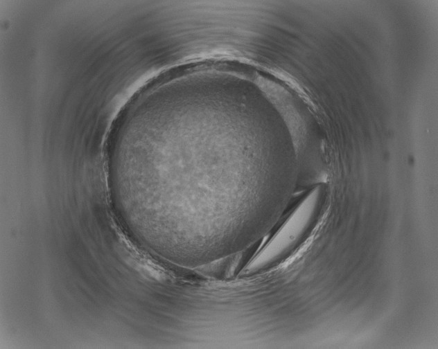 X0000068741118200605051444