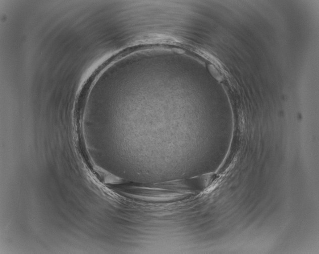 X0000068741120200605051444