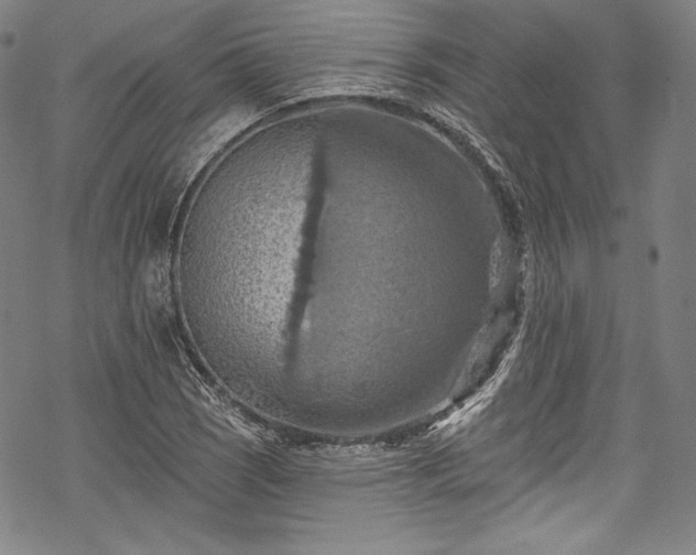 X0000068741121200605051444