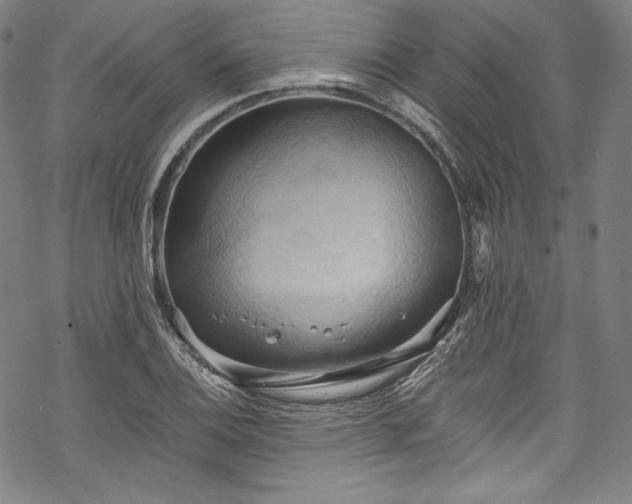 X0000068741124200605051444