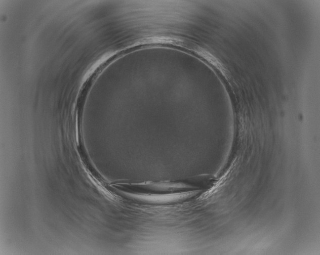 X0000068741127200605051444