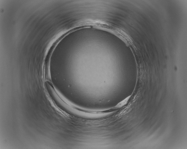 X0000068741128200605051444