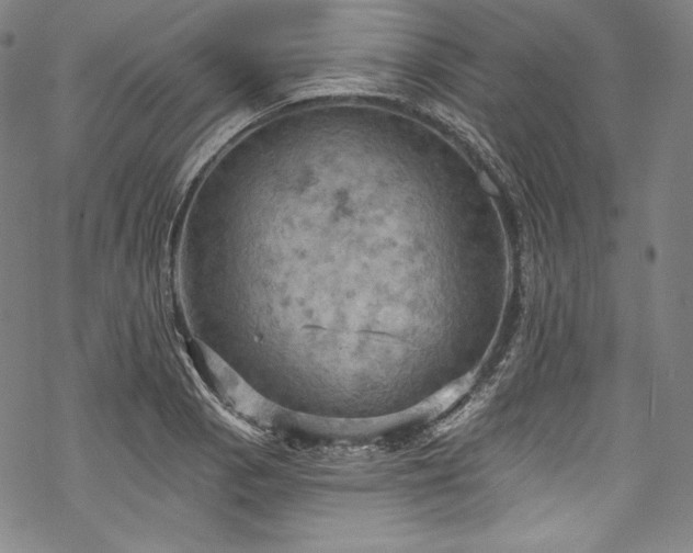 X0000068741129200605051444