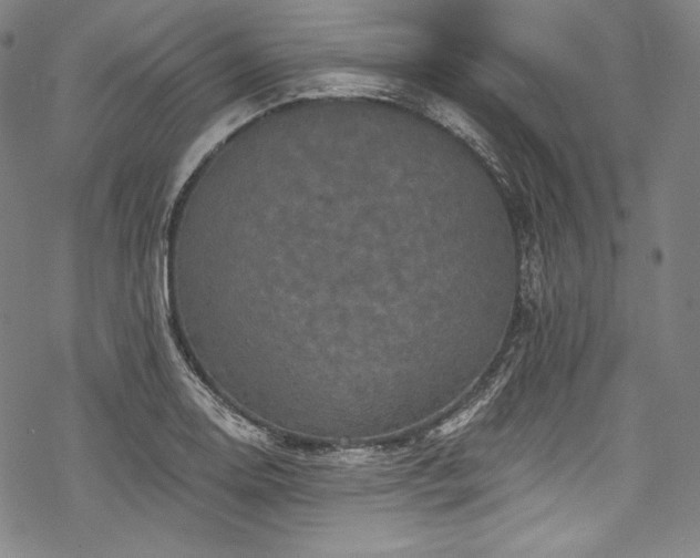 X0000068741130200605051444