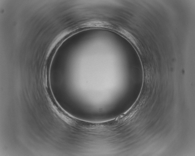 X0000068741131200605051444