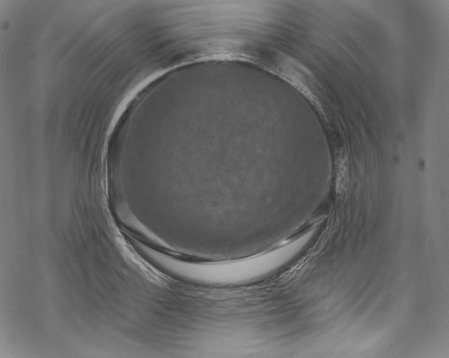 X0000068741132200605051444