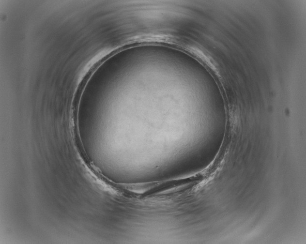 X0000068741133200605051444