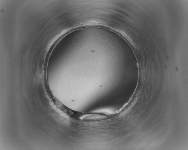 X0000068741134200605051444