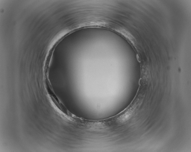 X0000068741135200605051444