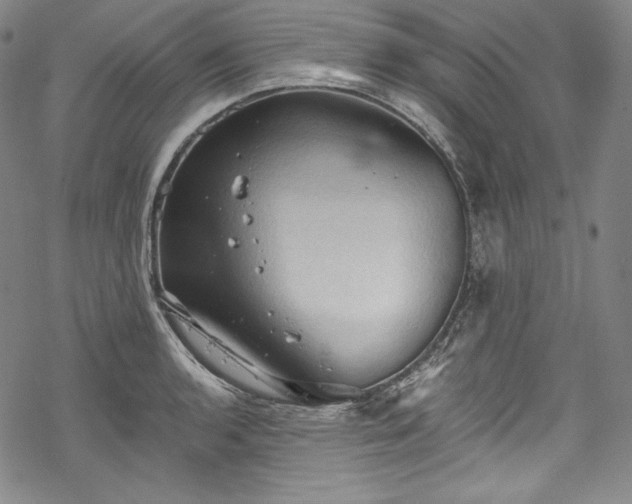 X0000068741136200605051444