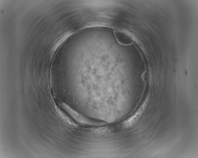 X0000068741137200605051444